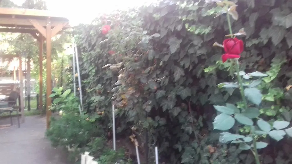 Havas Apartman Eğri 0*,